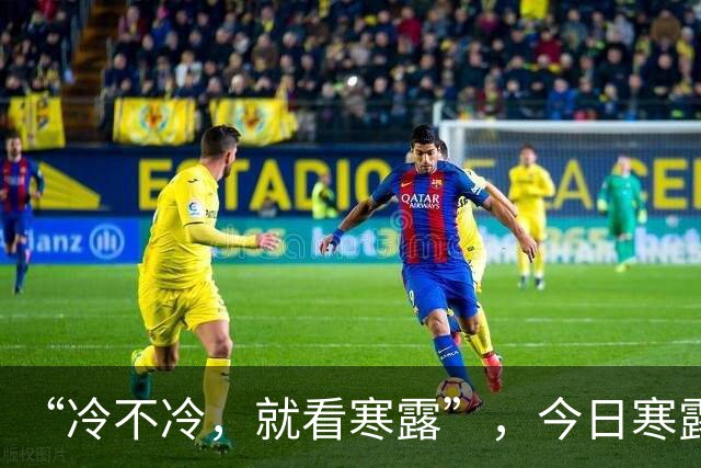“冷不冷，就看寒露”，今日寒露，2026冬天特别冷吗？看农谚咋说