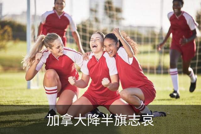 加拿大降半旗志哀