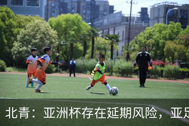 北青：亚洲杯存在延期风险，亚足联现阶段并未叫停各项筹备工作