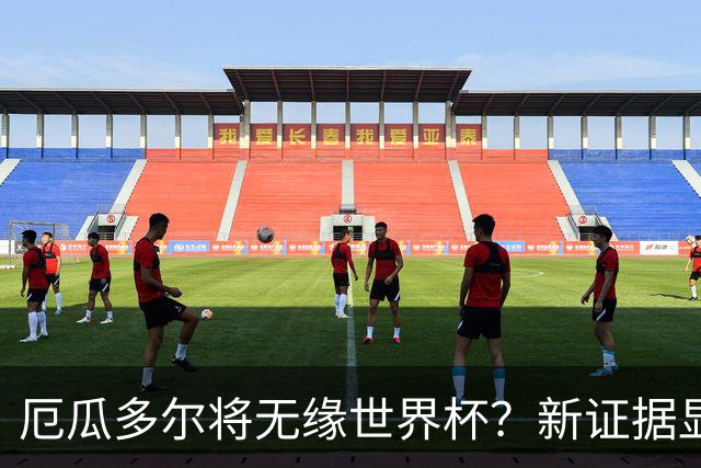 厄瓜多尔将无缘世界杯？新证据显示球员违规获国籍