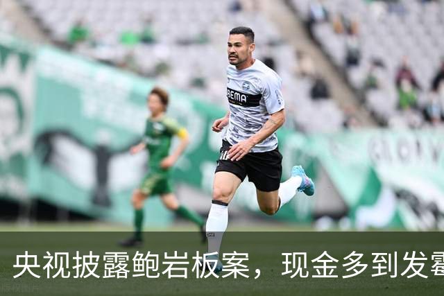 央视披露鲍岩板案，现金多到发霉晾晒，妻子国内购置豪宅豪车