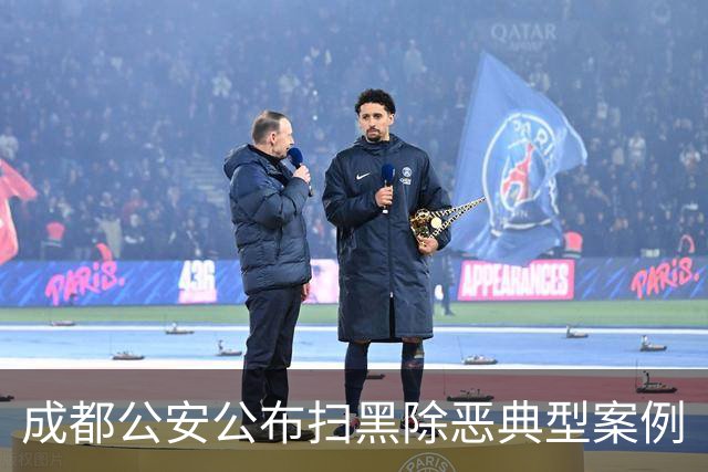 成都公安公布扫黑除恶典型案例