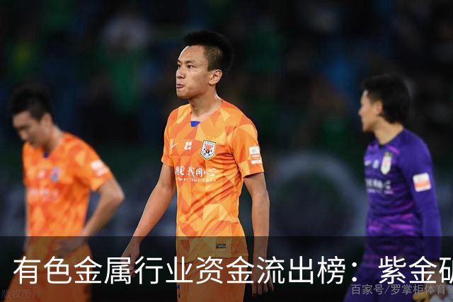 有色金属行业资金流出榜：紫金矿业等20股净流出资金超亿元