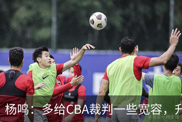 杨鸣：多给CBA裁判一些宽容，升降级了谁也不可能胡来