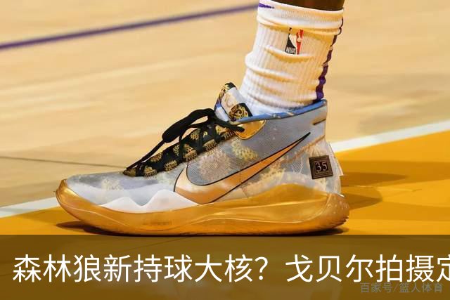 森林狼新持球大核？戈贝尔拍摄定妆照秀运球 胡子新造型吸睛