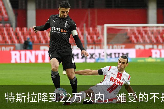 特斯拉降到22万以内，难受的不是对手，是上个月刚提车的人