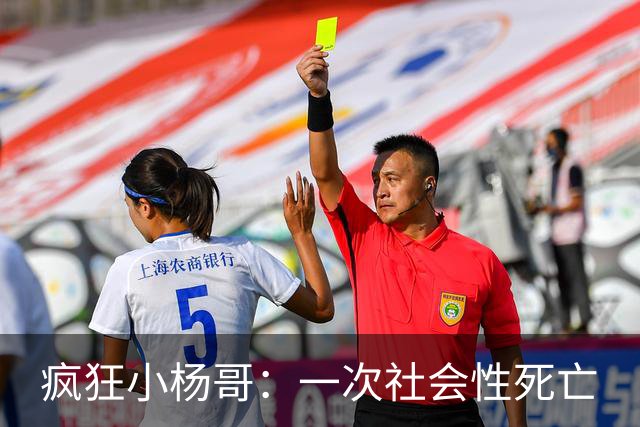 疯狂小杨哥：一次社会性死亡