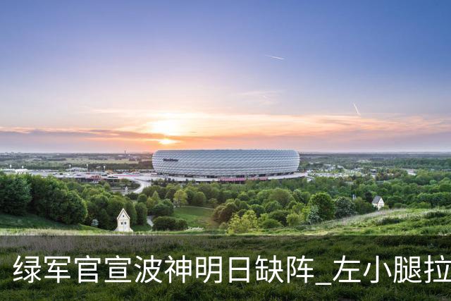 绿军官宣波神明日缺阵 左小腿拉伤或很快回归