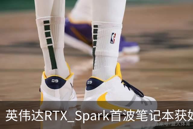 英伟达RTX Spark首波笔记本获好评，但续航成了问号