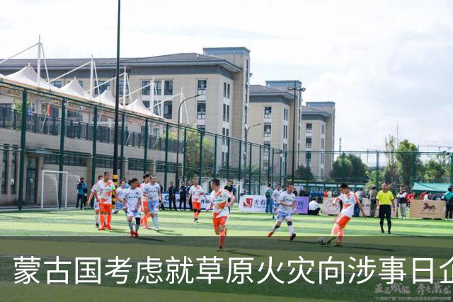 蒙古国考虑就草原火灾向涉事日企索赔