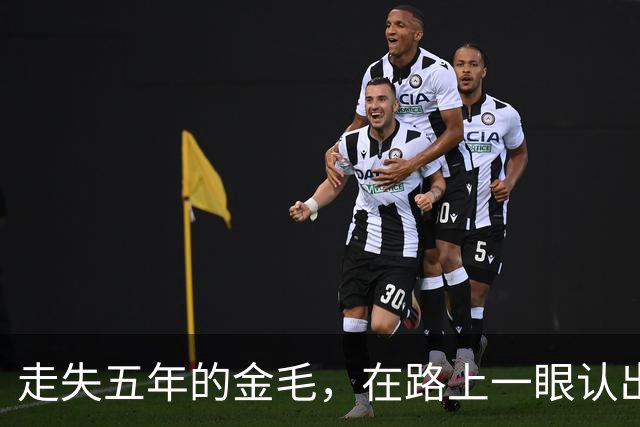 走失五年的金毛，在路上一眼认出主人：是我啊，你终于来接我了！