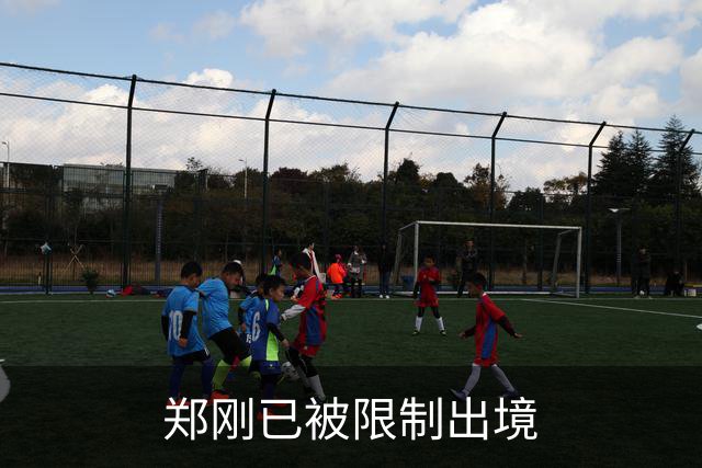 郑刚已被限制出境