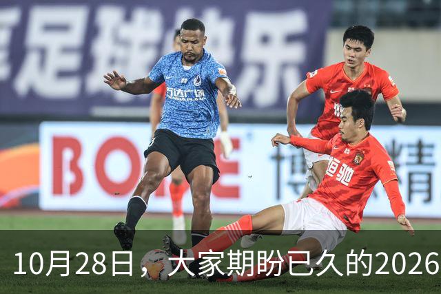 10月28日，大家期盼已久的2026退休养老金，究竟涨还是不涨？